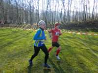 2014.03.02 - Bezirksmeisterschaften im Crosslauf-075